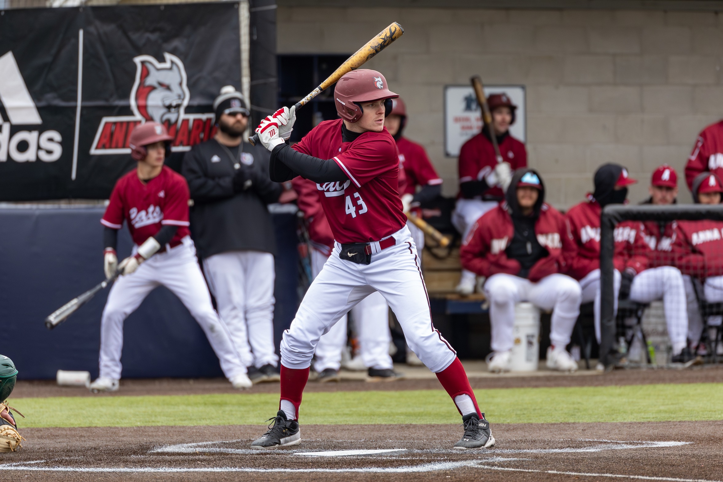 Baseball Handles Monks At Home