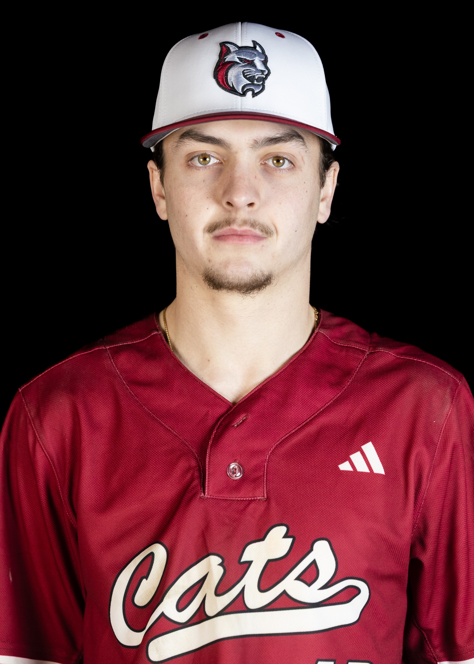 Owen Sullivan, Baseball