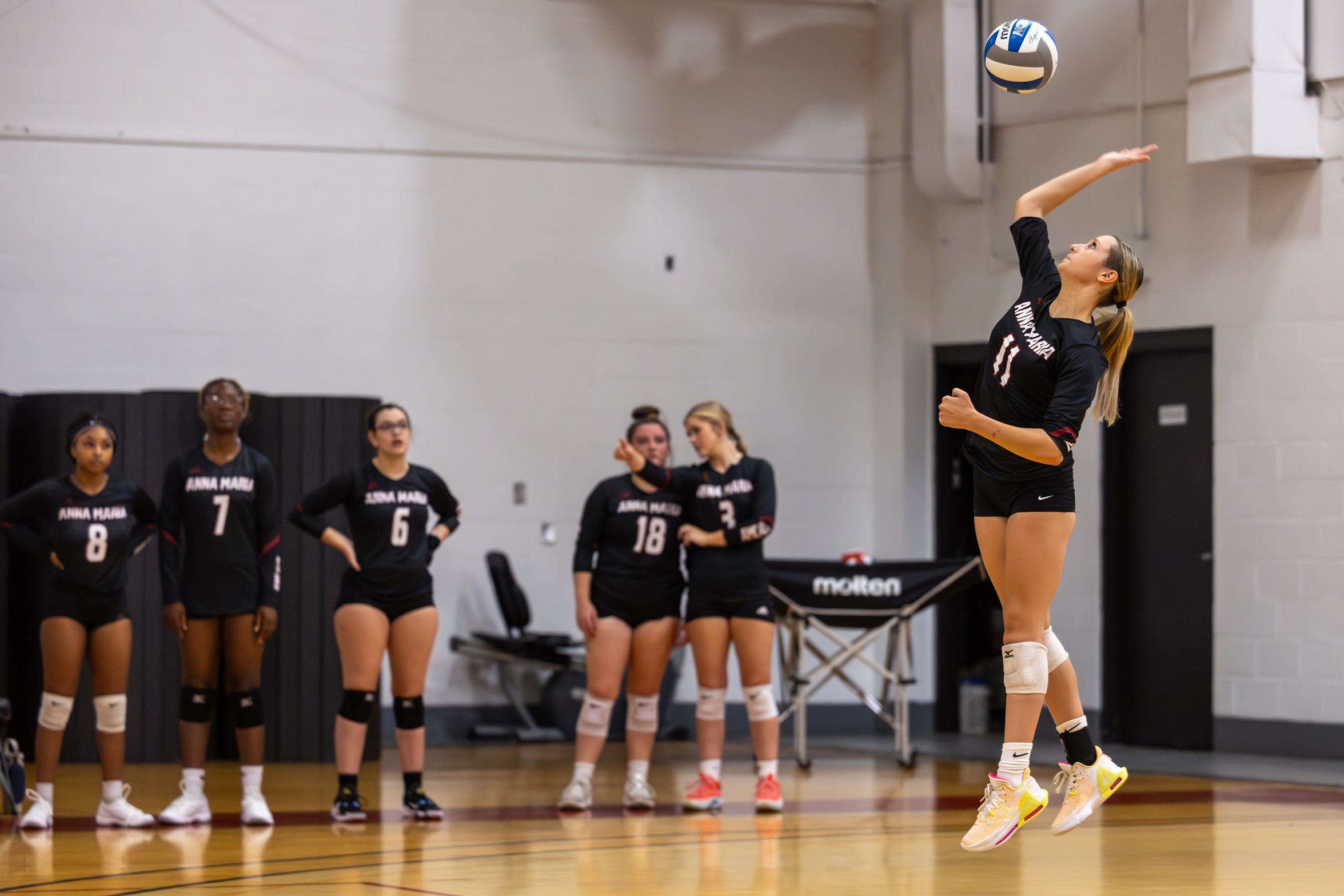 Women's Volleyball Upended by Wildcats And Rams