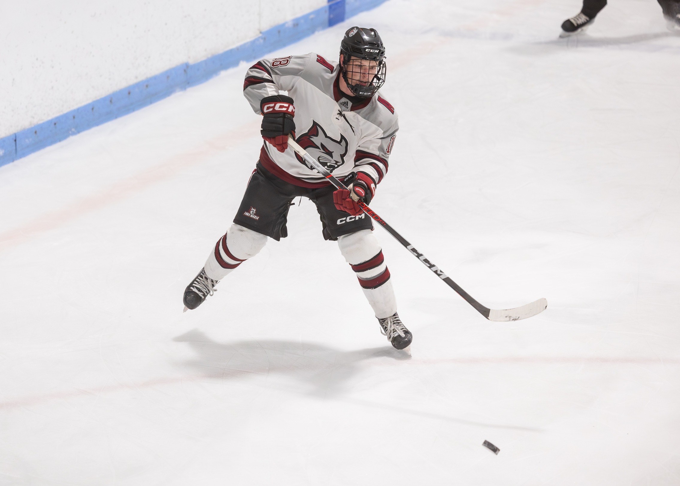 MEN'S HOCKEY SILENCE OWLS 4 TO 1