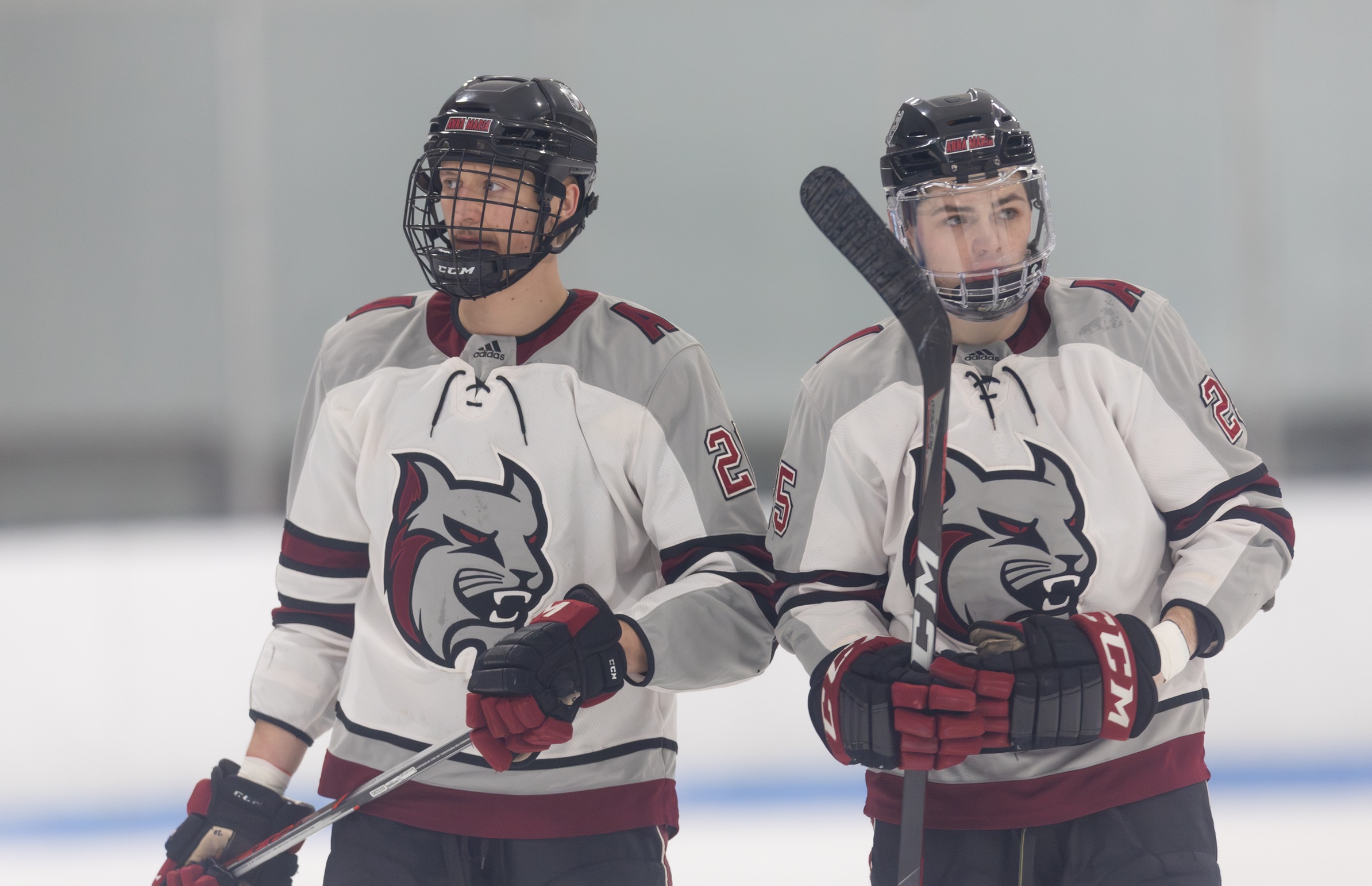 Men's Ice Hockey Secures 2nd Seed Despite Loss To Panthers