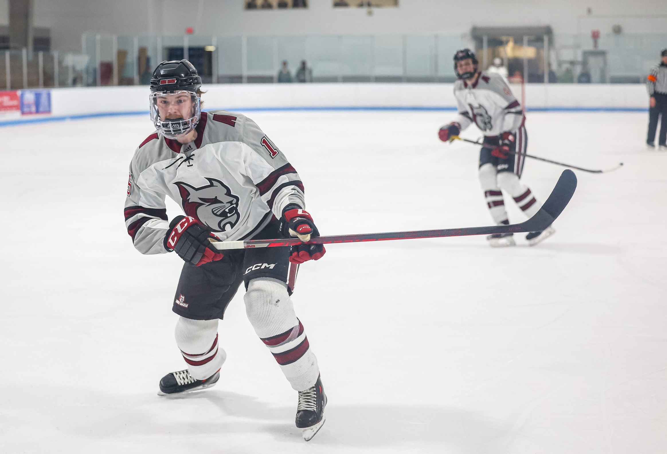 Mammoth Stomp On Men&rsquo;s Hockey 6-2