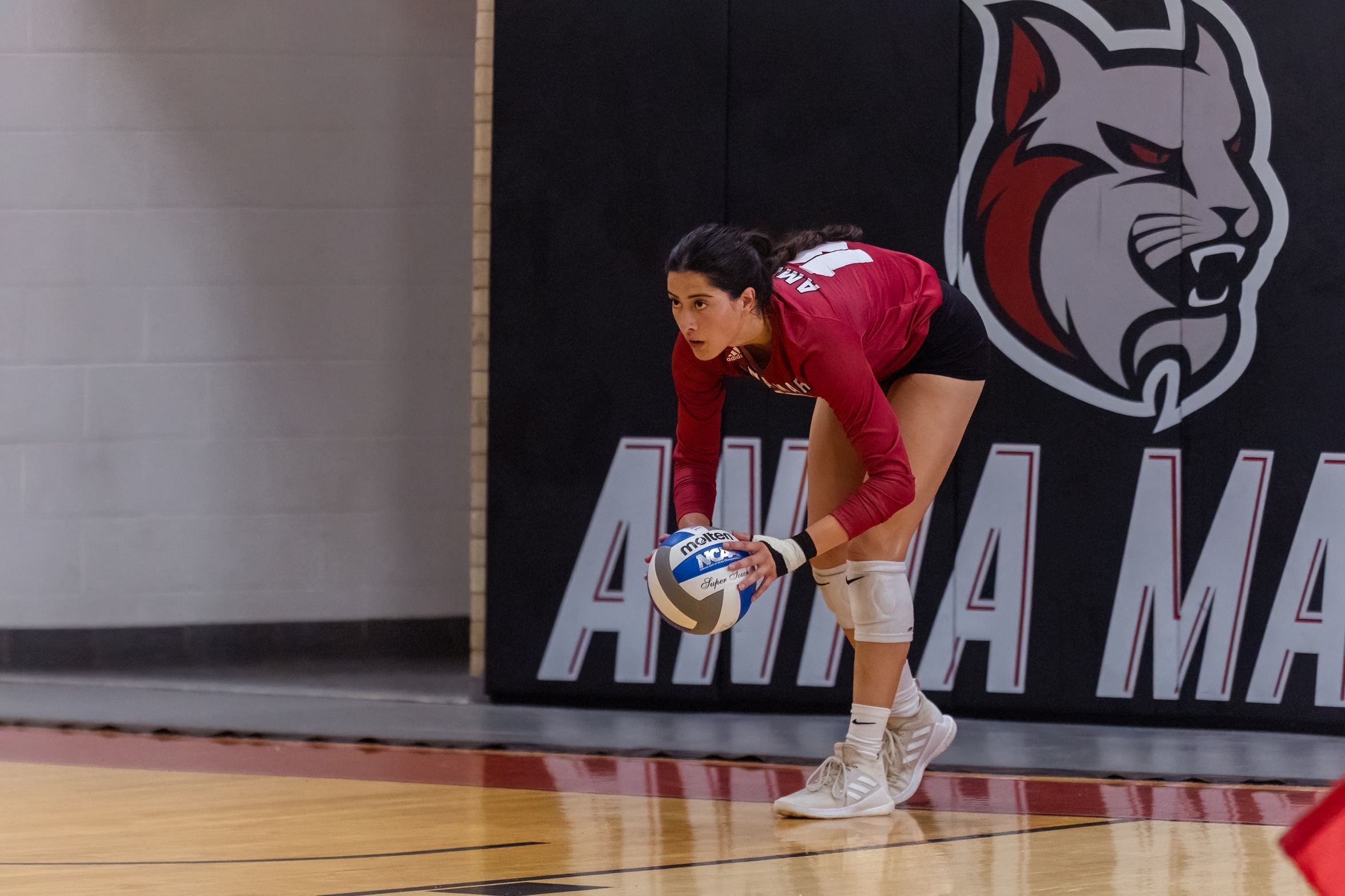 Volleyball Drops Last Two Games Of The Season 3-0 and 3-1