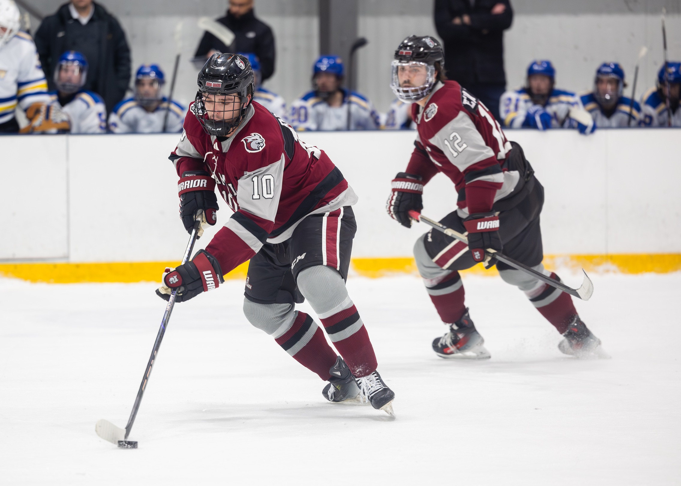 Men's Ice Hockey Downed By Panthers