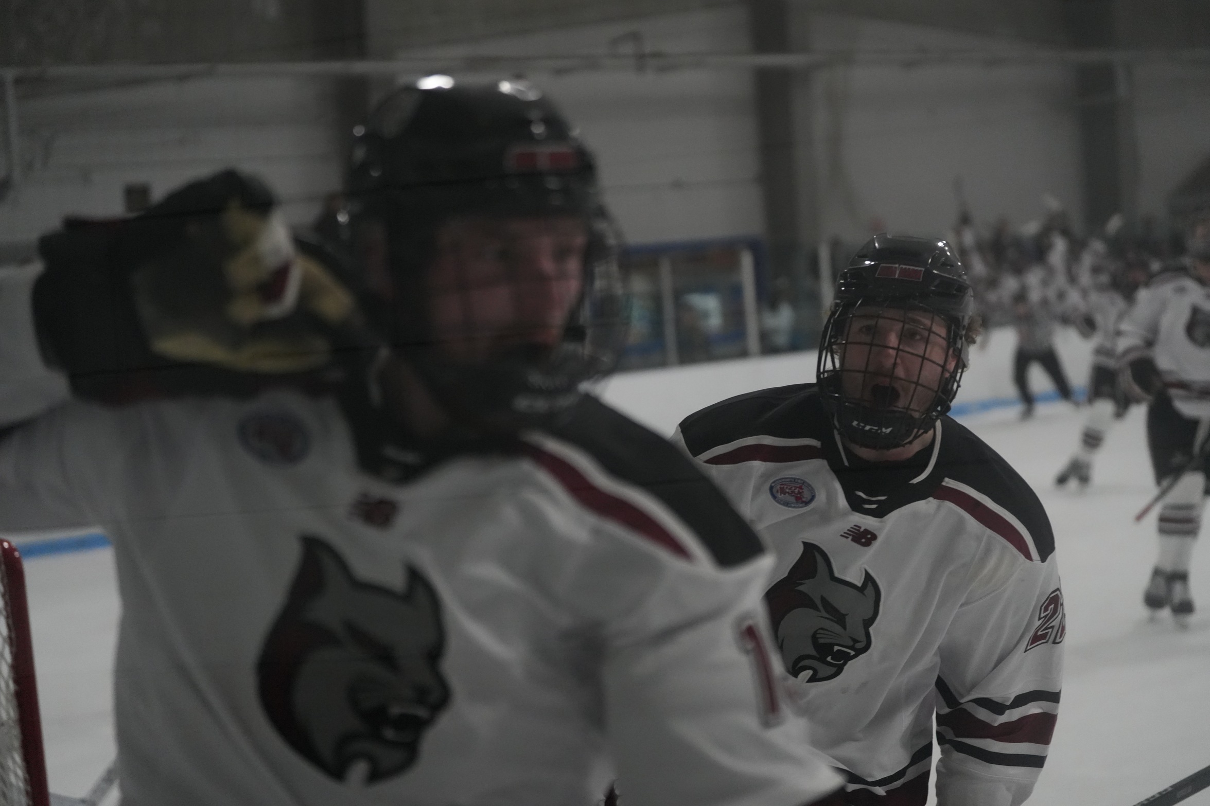 Men&rsquo;s Ice Hockey Skates Past New England College