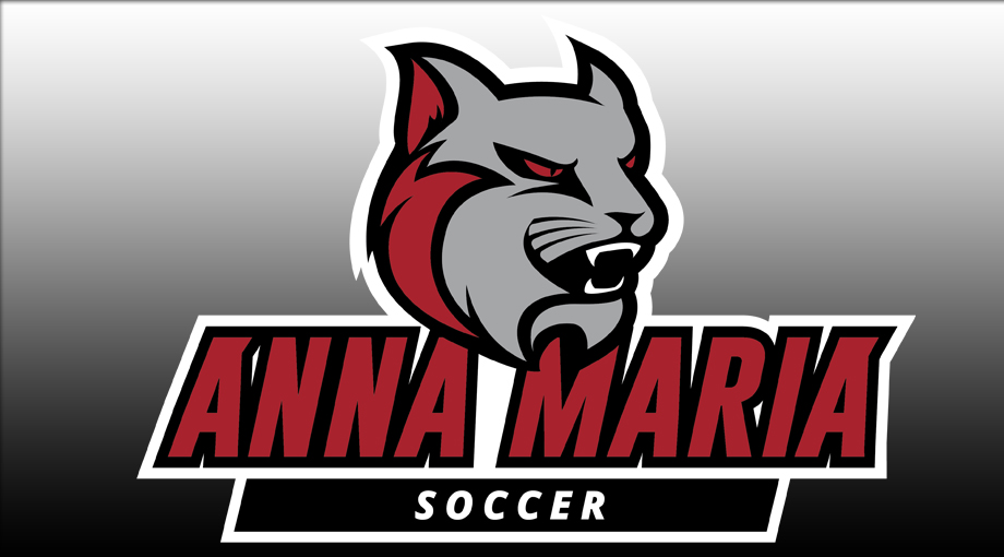Anna Maria College Men&rsquo;s Soccer 2019 Recruiting Class