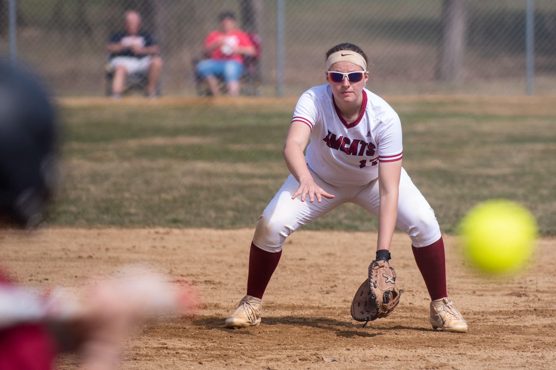 Bison Too Much For Softball