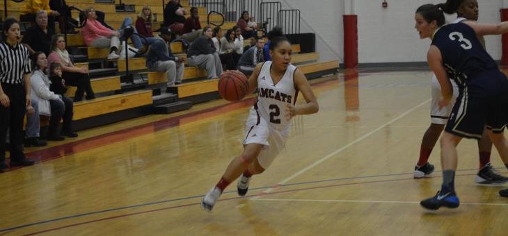 AMCATS Fall in Hoops for Hounds Tournament, 76-44