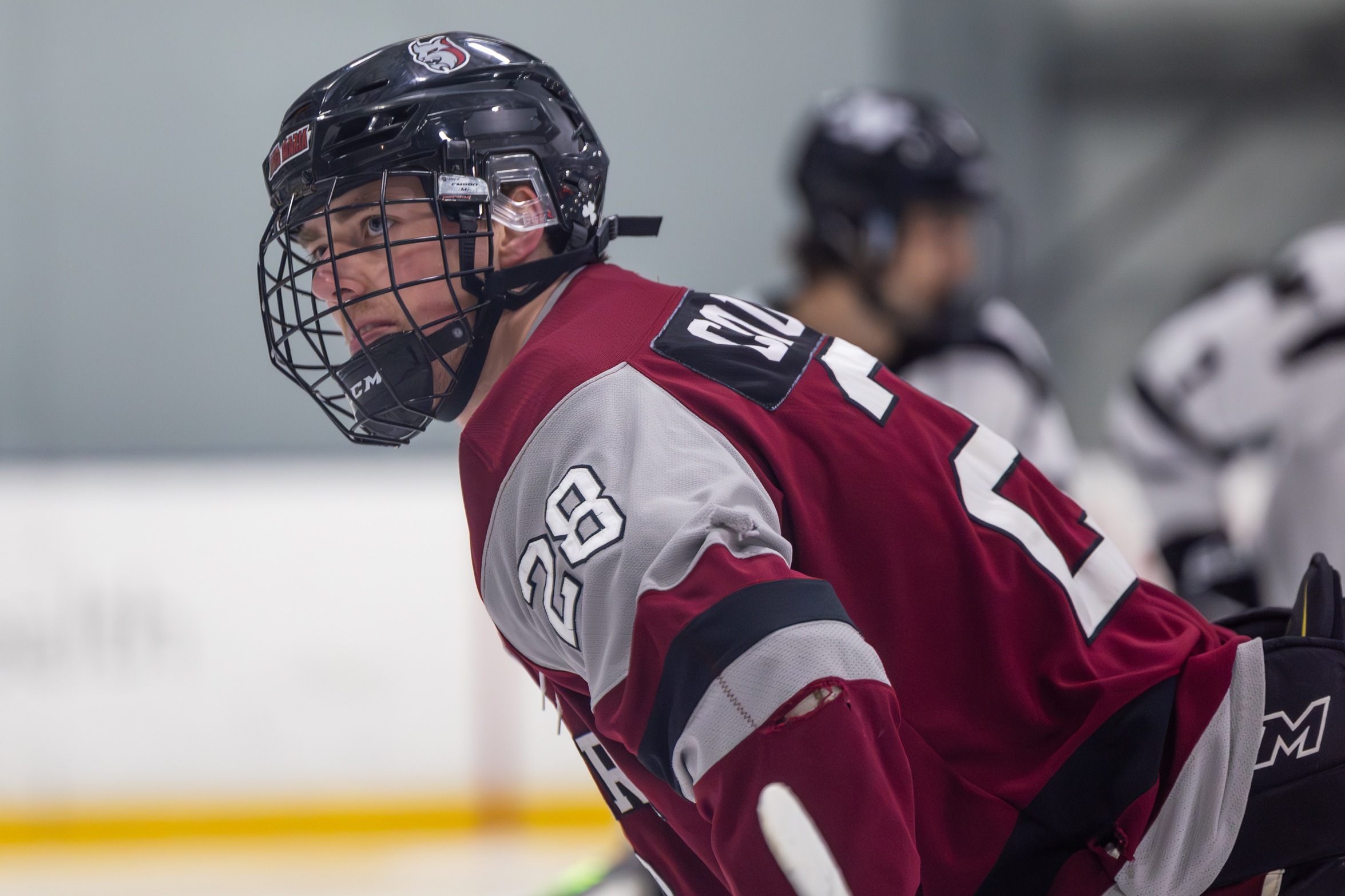 Coulombe Nets Two In Win Over Vikings