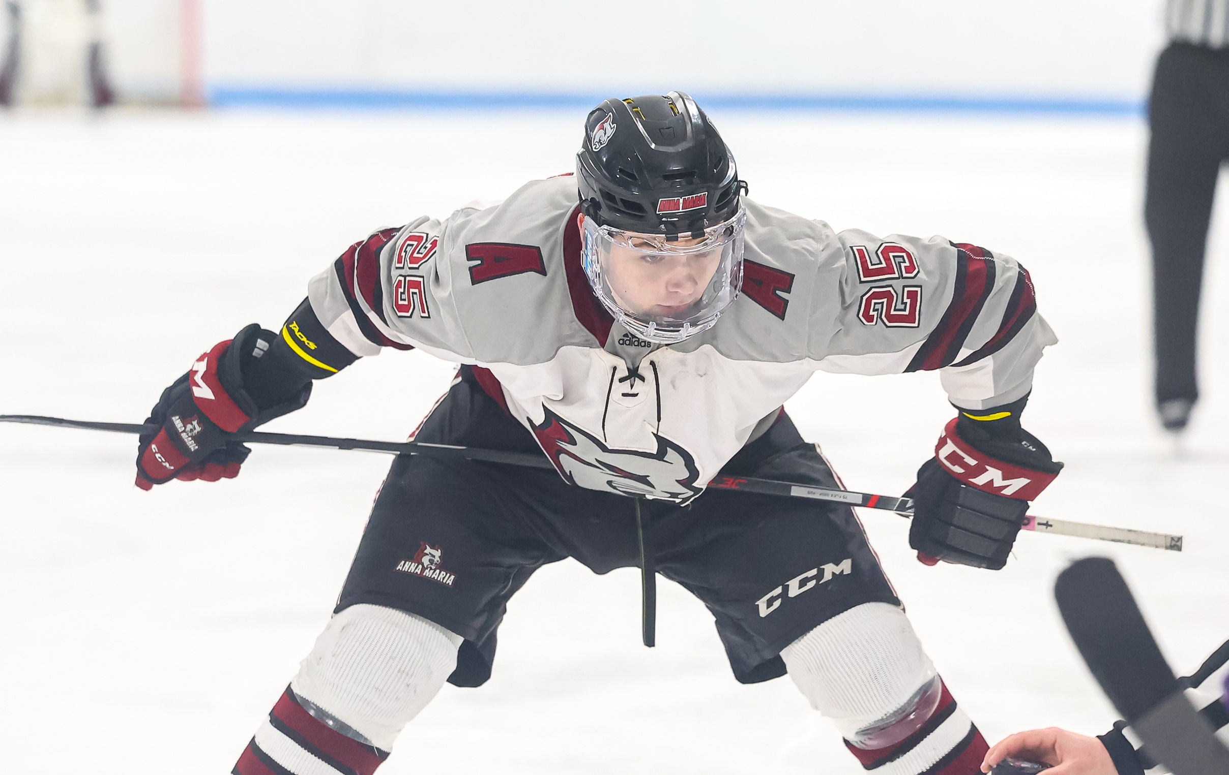 Men&rsquo;s Hockey Can&rsquo;t Scratch Back Against Wildcats