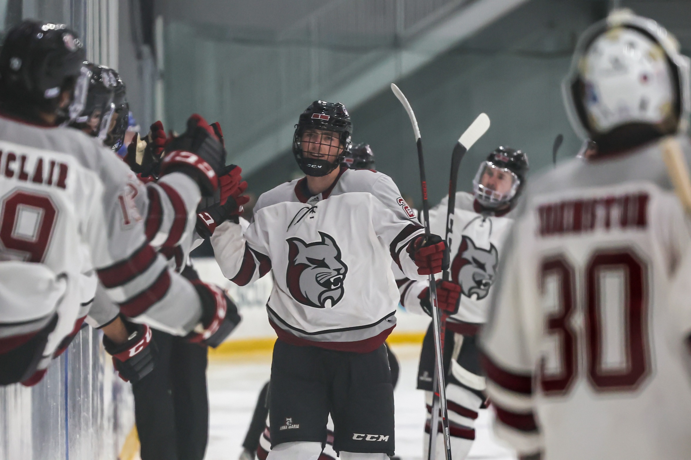 Men&rsquo;s Hockey Sweeps Dutchmen On The Road