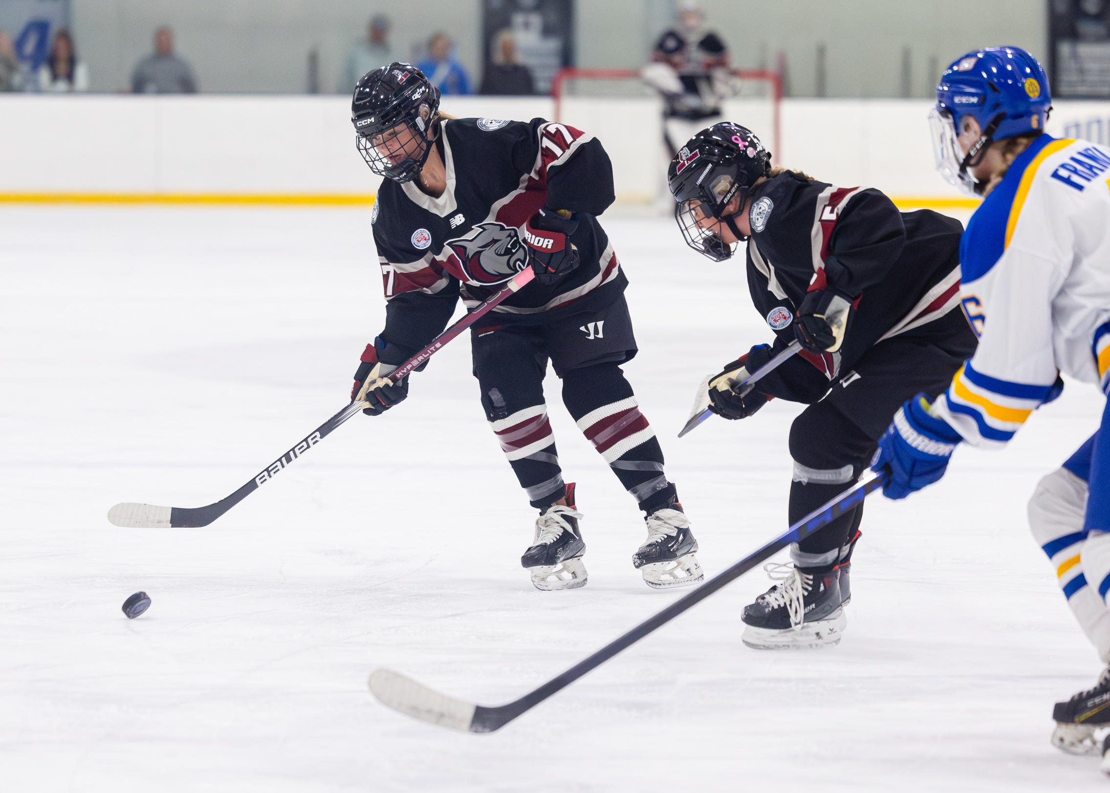 Women&rsquo;s Ice Hockey Secures 2&ndash;1 Win Over Pilgrims