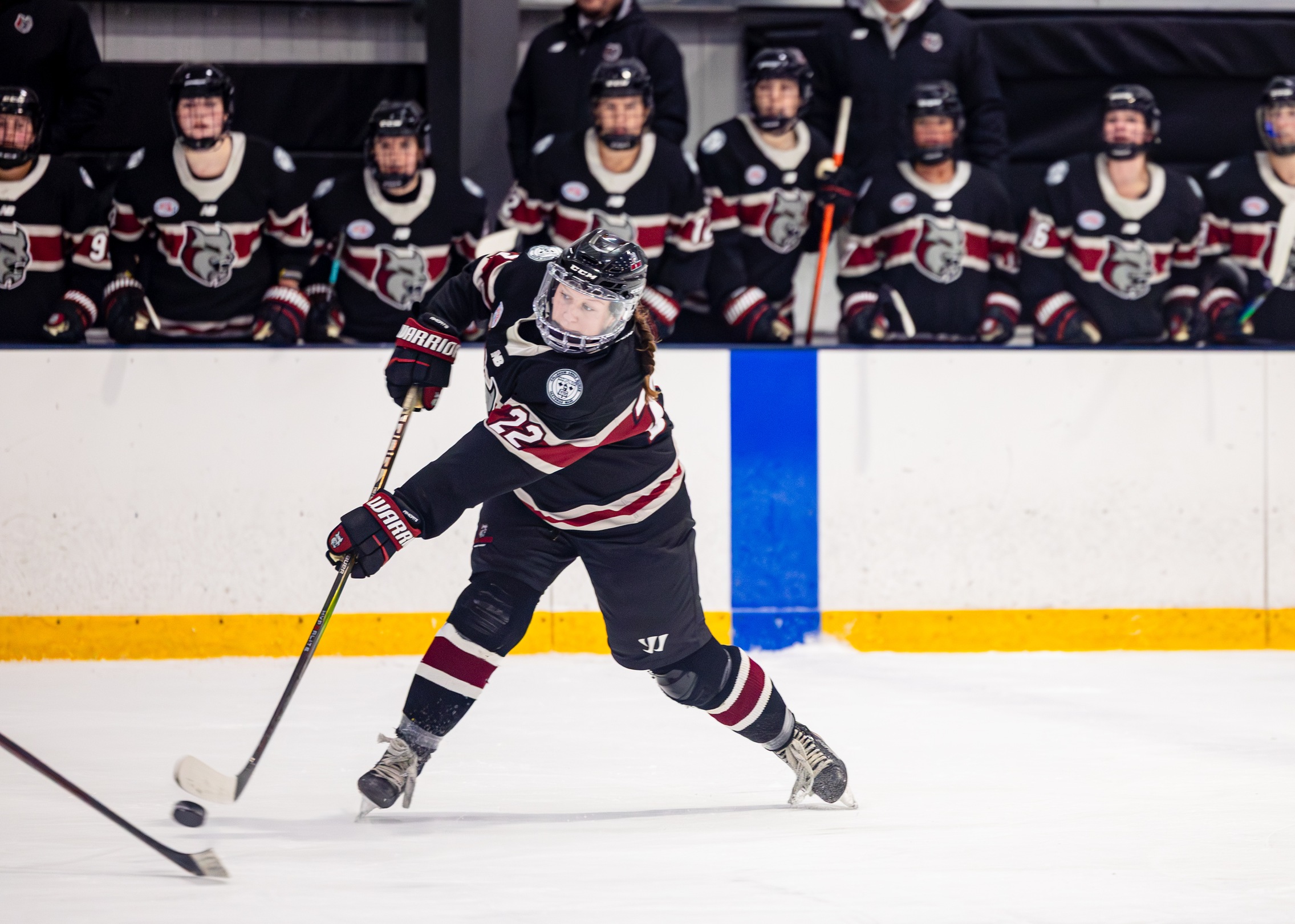 WOMEN&rsquo;S HOCKEY Comes Up Short Against SUNY POTSDAM  in Game Two of Bagley Invitational