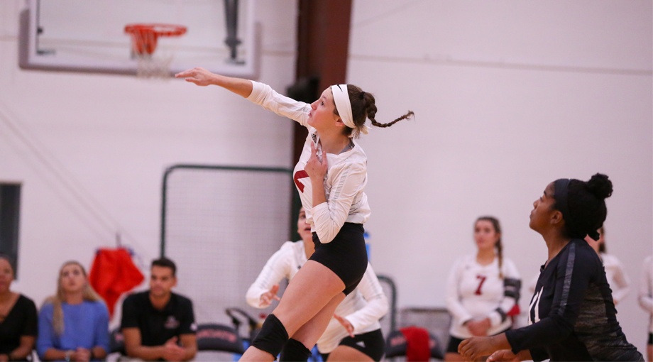 Volleyball Downed by Regis and Salve, 3-0