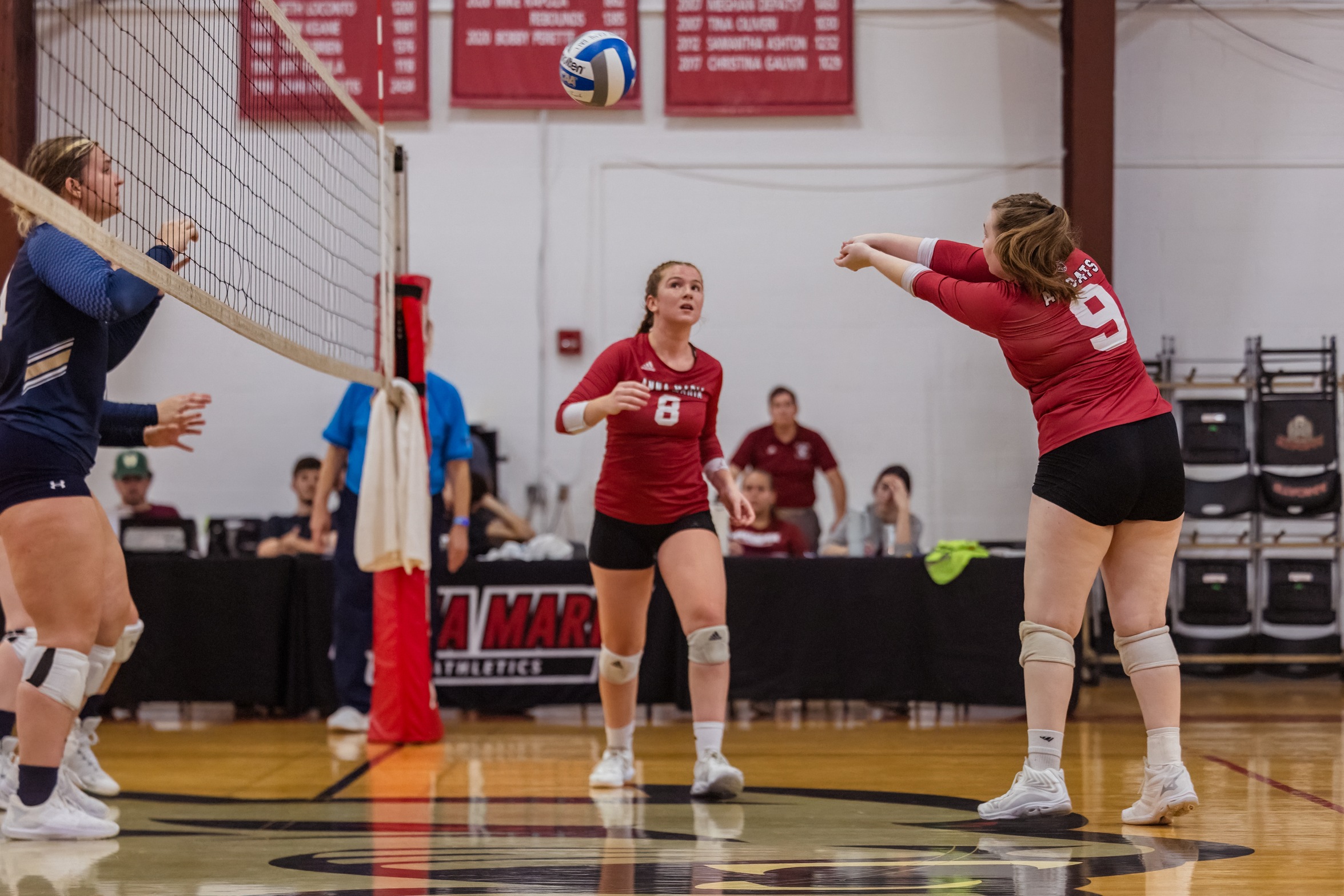 Wildcats Pull Away From Volleyball 3-0