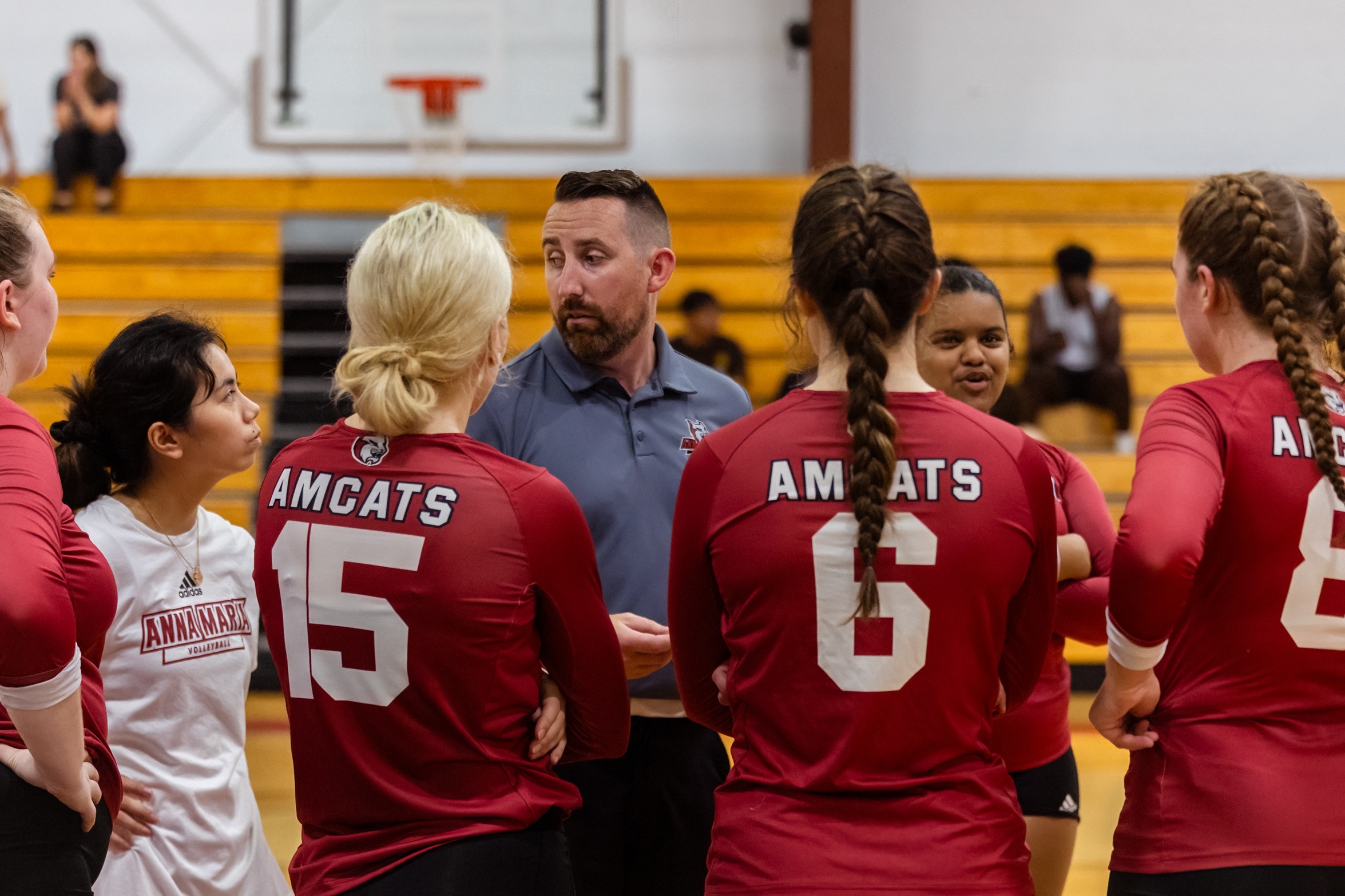 Wildcats Scratch Past Women&rsquo;s Volleyball 3-0