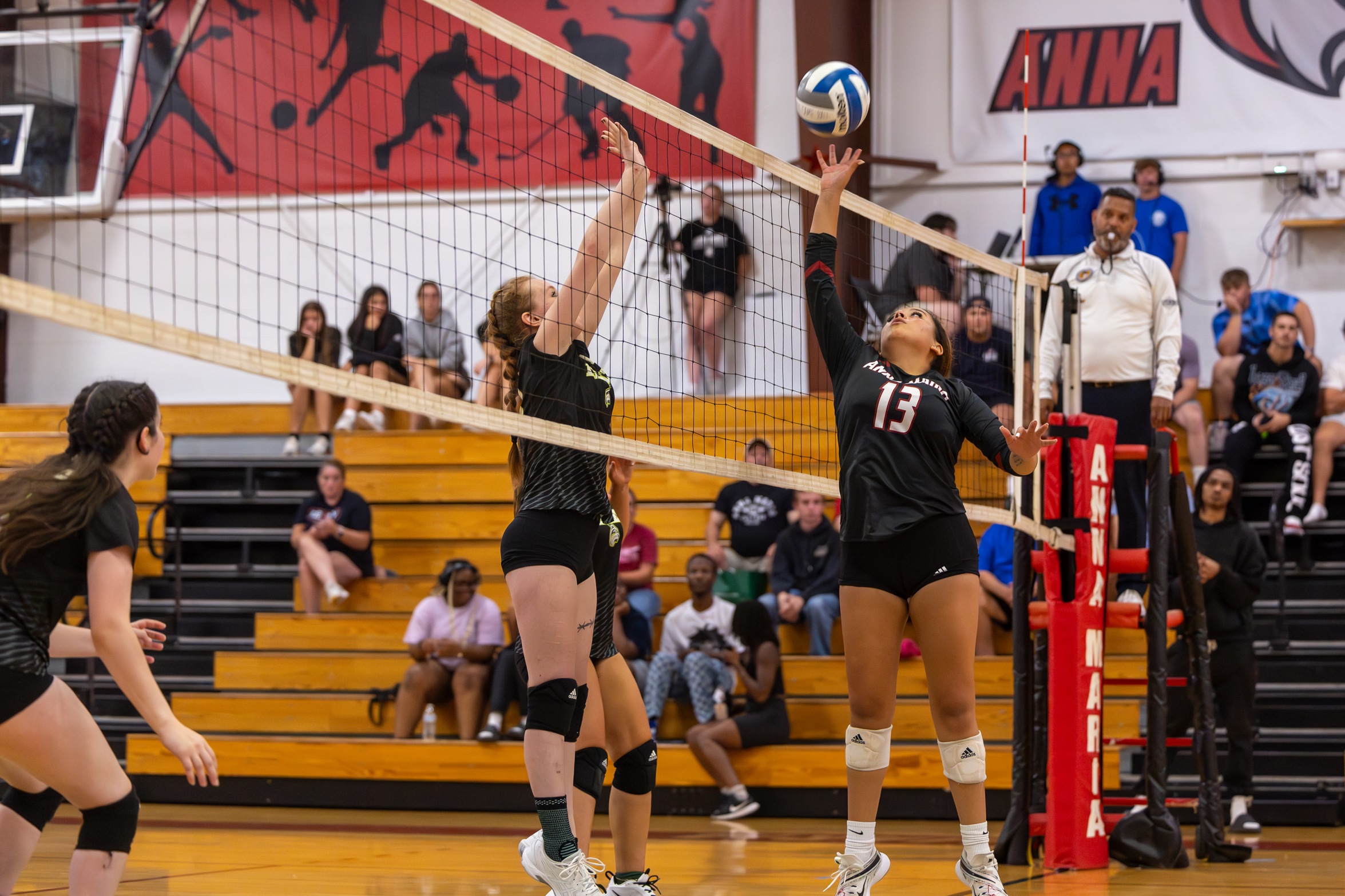 Volleyball Falls Short Against Wildcats