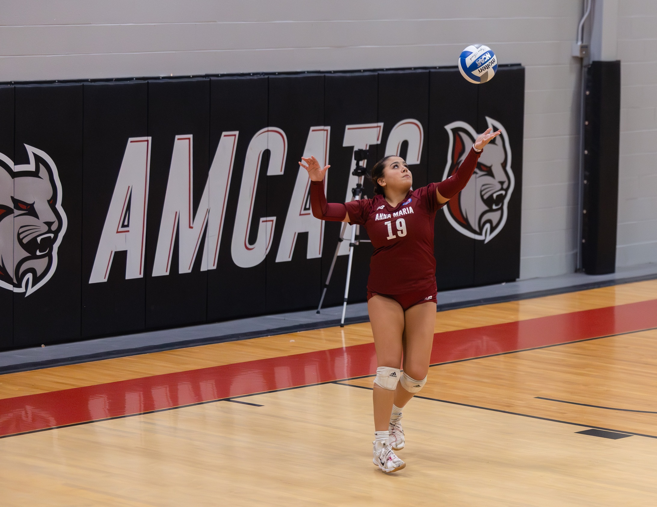 Women&rsquo;s Volleyball Drops Road Match to Bay Path University In Straight Sets
