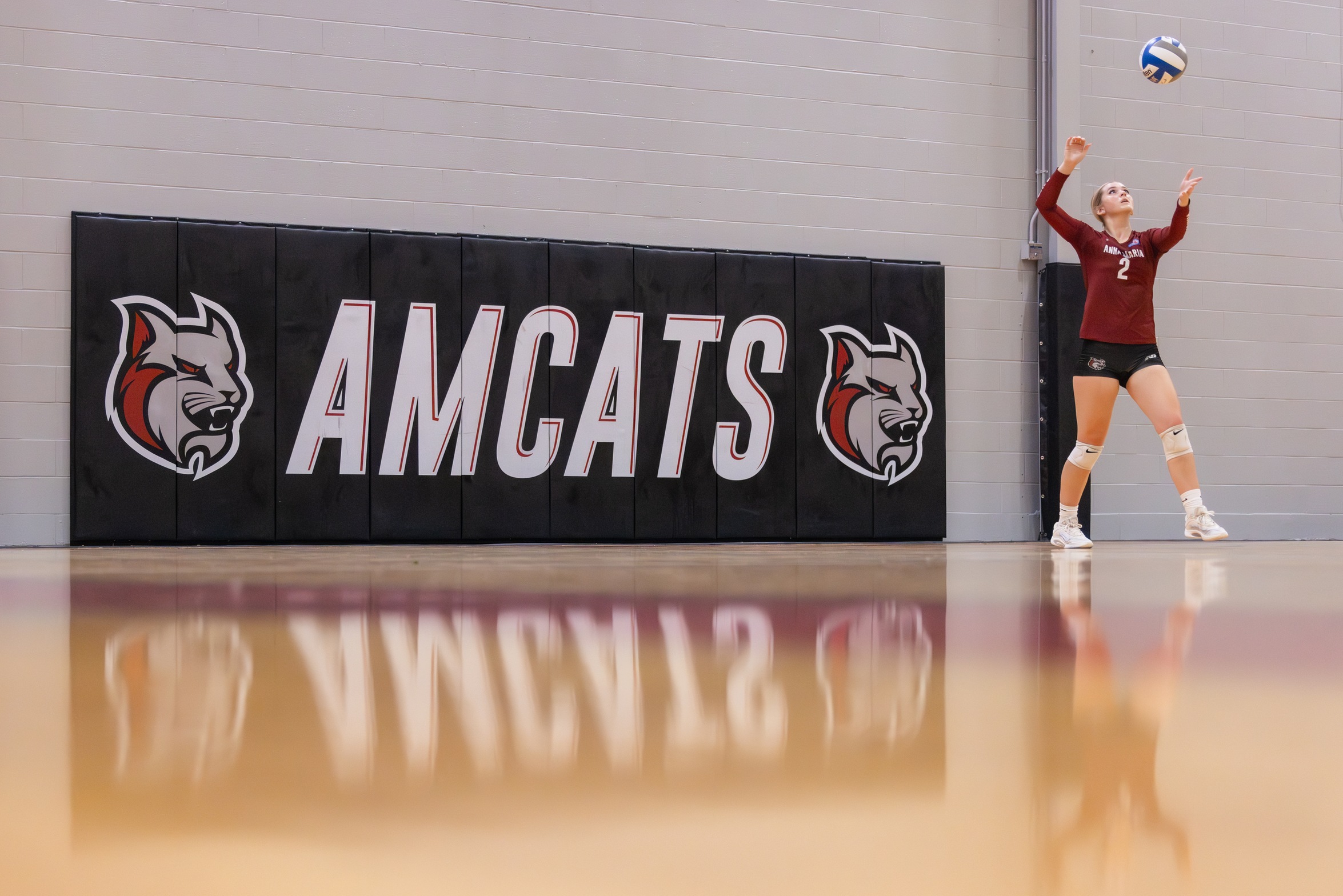 Women&rsquo;s Volleyball Falls to Owls in Straight Sets